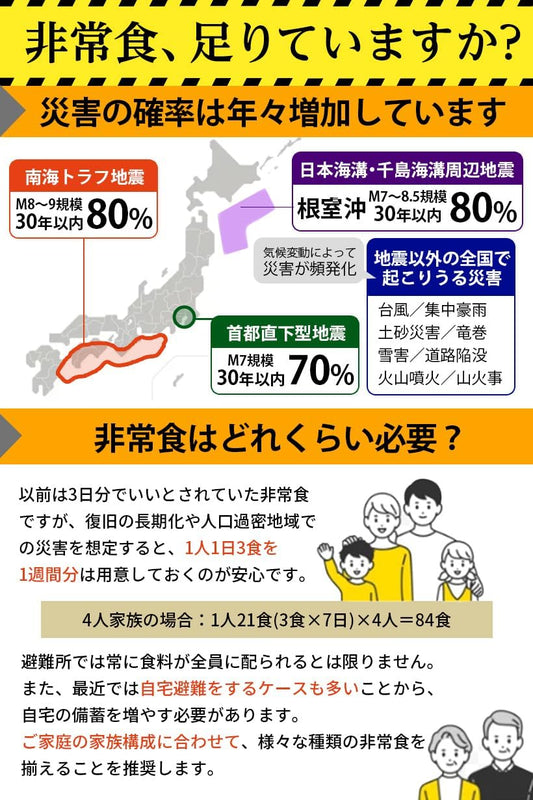 非常食 アルファ米12種4日分 セット